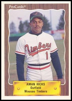 2138 Aman Hicks